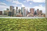 green roof terrace in denver