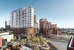 image_Credit AsheMorgan