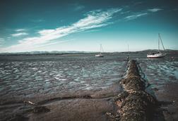 Sewage pipe on beach
