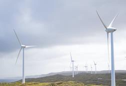 Windfarm