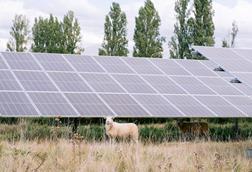 Greenberry solar farm in France for Octopus story March 25