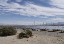 Wind turbines and solar panels on the countryside