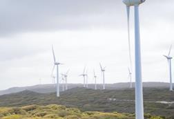 Windfarm