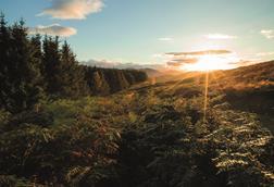 Foresight’s Fordie Estate in Scotland