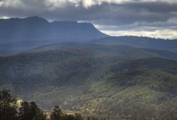 UniSuper joined two European institutional investors to acquire Forico