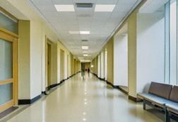 University, Education