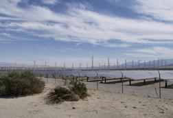 Solar and wind