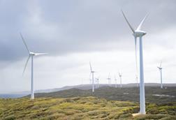 Windfarm