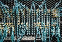 Fibre