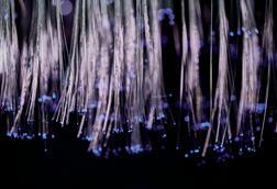 Fibre optic