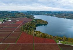 Van Lanschot Kempen - Pan Am Oregon and Washington