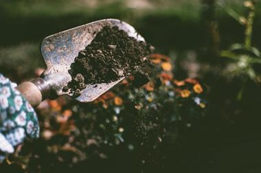 Soil, Credit Pexels