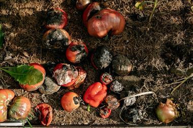 Organic waste_Credit_Pexels