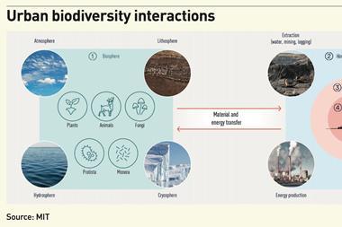Urban biodiversity interactions