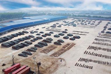 Tavico Timber Credit New Forests
