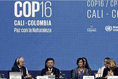 COP16 in Cali, Colombia