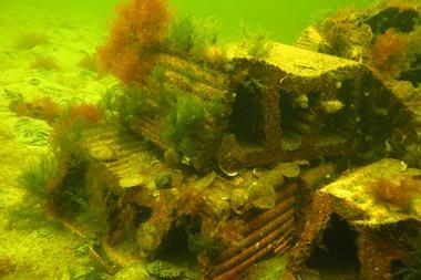 Rebalance Earth oyster reef investment sept 2025