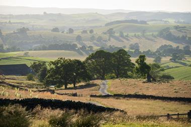 nature-recovery-broughton-sanctuary