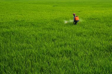 Farming Credit Pexels