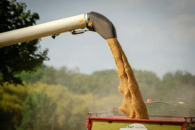 Grain