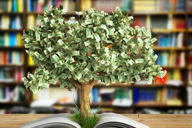 green bond issue