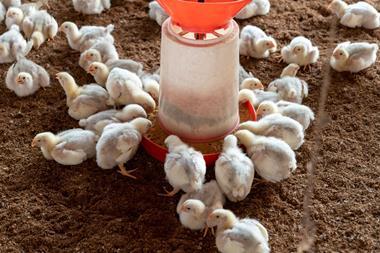 Poultry farm