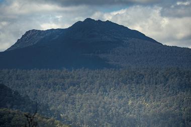 ABP, UniSuper and PPF teamed up to acquire forestry estate in Tasmania