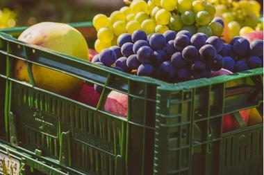 Fruits in a crate