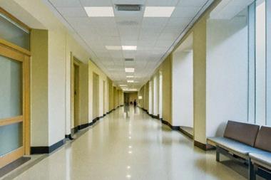 University, Education