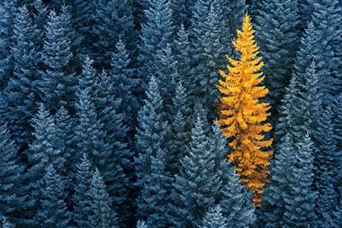 Evergreen Private Equity Investing- Key Benefits of a Direct, Multimanager Approach