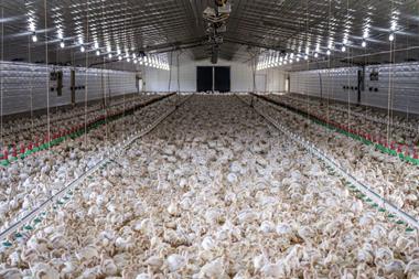 Poultry farm