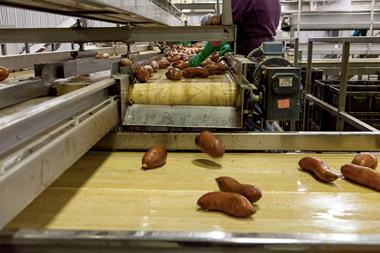 Food and Agriculture