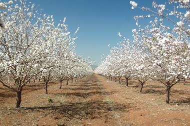 Going long on permanent crops- long-term demand fundamentals of almonds and pistachios
