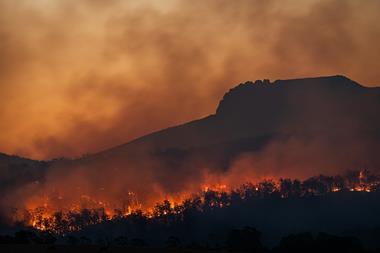 Bush fire - matt-palmer-kbTp7dBzHyY-unsplash