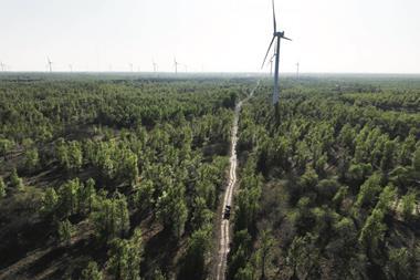 Trees planted in Zhangwu County of Fuxin City, China