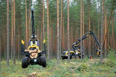 Forestry - dreamstime_m_44156258