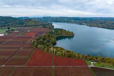 Van Lanschot Kempen - Pan Am Oregon and Washington
