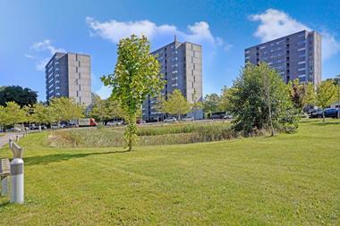 Project Delta_Credit Pictet, Viga