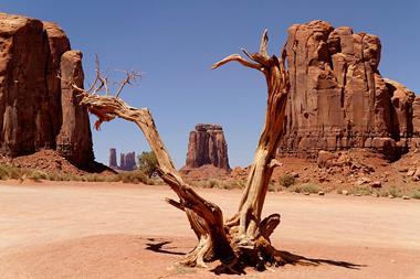Land, water scarcity_LandCredit Pexels