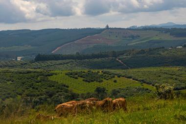 Ranch Credit Pexels