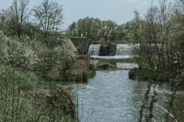 Water from a dam