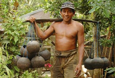 Pak Dawan -Balinese Coconut Palm Tapper