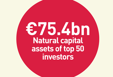 Top 50m Nat Cap investors 2025