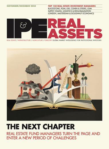 Real Assets November/December 2024 (Magazine)