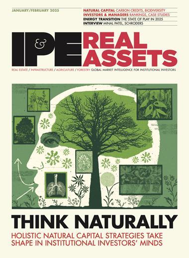 Real Assets January/February 2025 (Magazine)