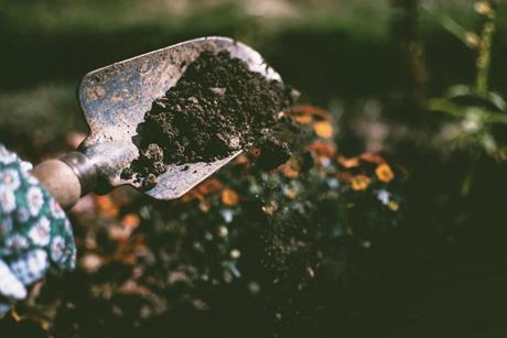 Soil, Credit Pexels