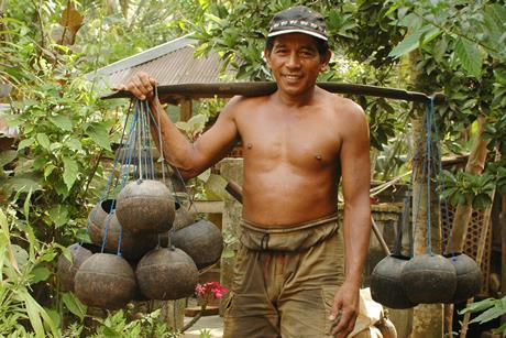 Pak Dawan -Balinese Coconut Palm Tapper