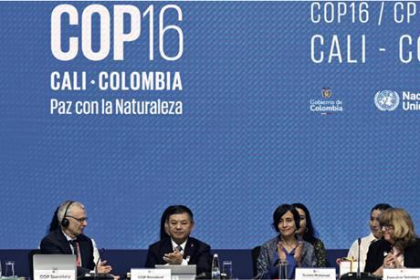 COP16 in Cali, Colombia