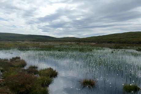 Screenshot 2025-12-09 at 22.28.27