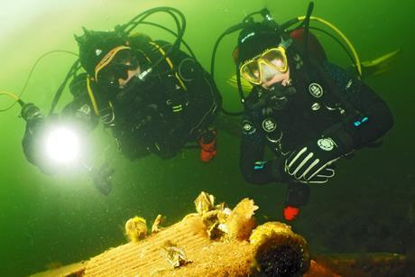 Oyster farming - Photo: Rebalance Earth | Oyster Heaven
